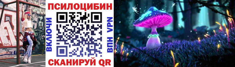 где можно купить   Кострома  Галлюциногенные грибы Magic Shrooms 