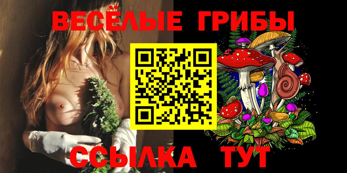 Псилоцибиновые грибы Psilocybe Кострома